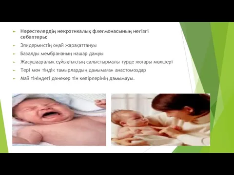 Нәрестелердің некротикалық флегмонасының негізгі себептеры: Эпидермистің оңай жарақаттануы Базалды мембрананың нашар дамуы