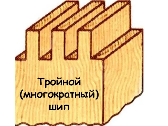 Тройной (многократный) шип