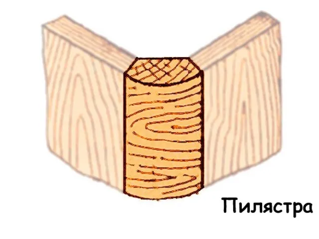 Пилястра