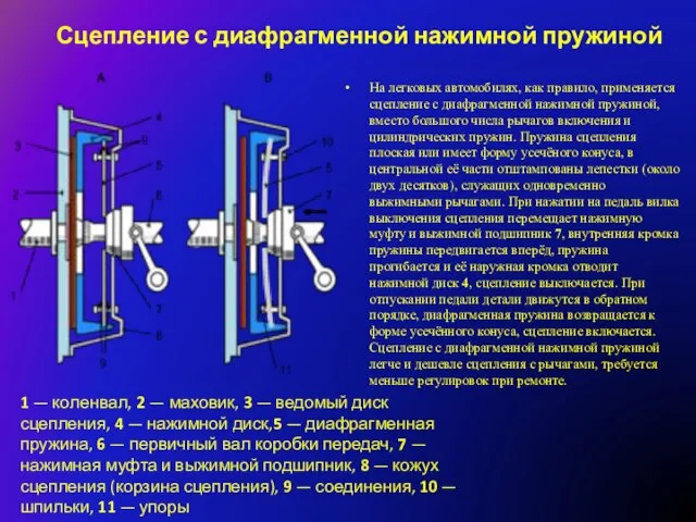 Сцепление с диафрагменной нажимной пружиной На легковых автомобилях, как правило, применяется сцепление