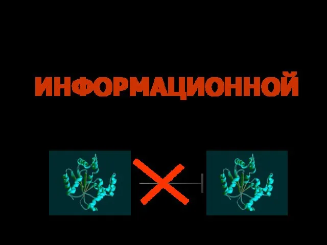 Белки выполняют все функции, кроме одной – ИНФОРМАЦИОННОЙ не способны к самовоспроизведению