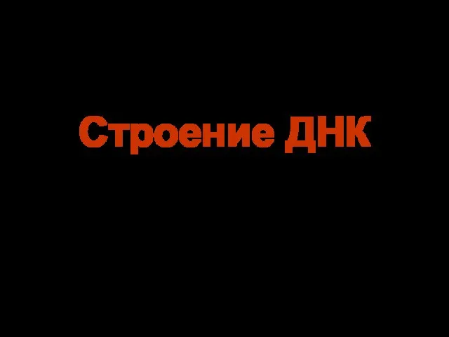 Строение ДНК