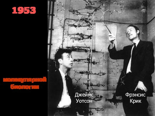 1953 Фрэнсис Крик Джеймс Уотсон Открыта структура ДНК Дата рождения молекулярной биологии