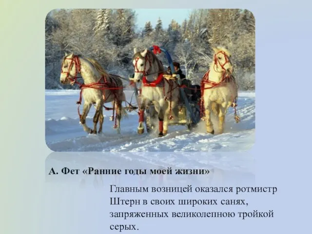 А. Фет «Ранние годы моей жизни» Главным возницей оказался ротмистр Штерн в