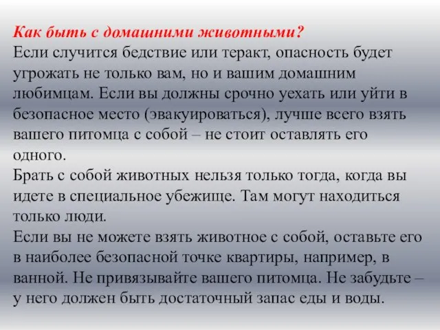 Как быть с домашними животными? Если случится бедствие или теракт, опасность будет