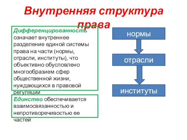 Внутренняя структура права нормы институты отрасли Дифференцированность означает внутреннее разделение единой системы