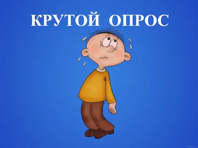 КРУТОЙ ОПРОС