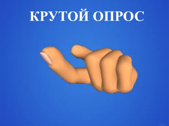 КРУТОЙ ОПРОС