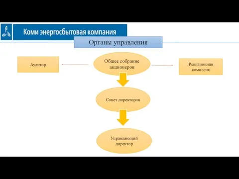 Органы управления Общее собрание акционеров Ревизионная комиссия Аудитор Совет директоров Управляющий директор