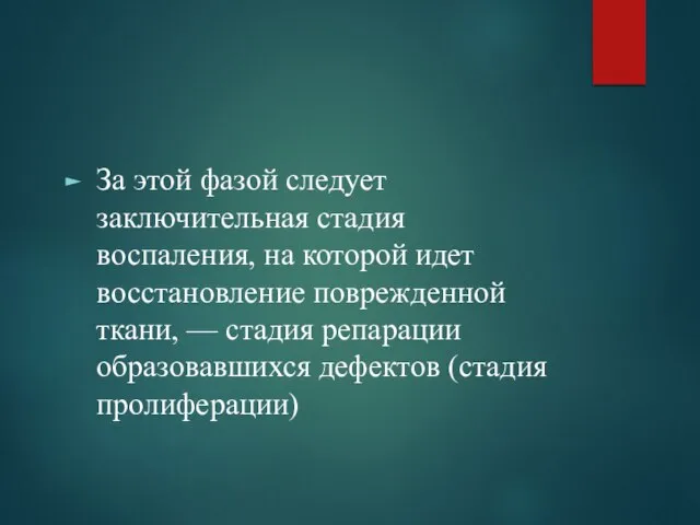 За этой фазой следует заключительная стадия воспаления, на которой идет восстановление поврежденной