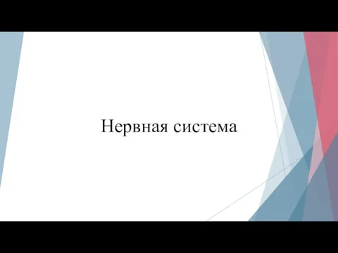 Нервная система