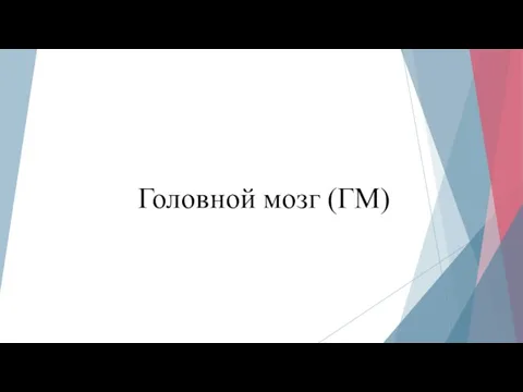 Головной мозг (ГМ)