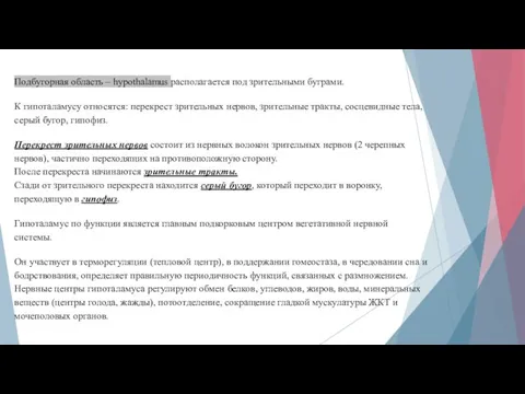 Подбугорная область – hypothalamus располагается под зрительными буграми. К гипоталамусу относятся: перекрест