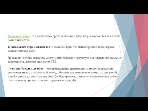 Базальные ядра – это скопление серого вещества в виде ядер, которые лежат