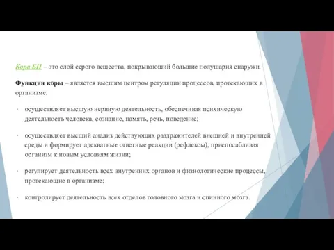 Кора БП – это слой серого вещества, покрывающий большие полушария снаружи. Функции