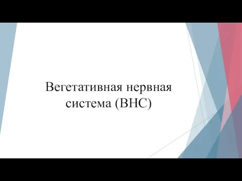 Вегетативная нервная система (ВНС)