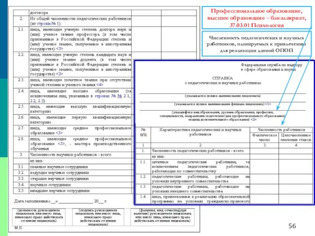 Профессиональное образование, высшее образование – бакалавриат, 37.03.01 Психология Численность педагогических и научных