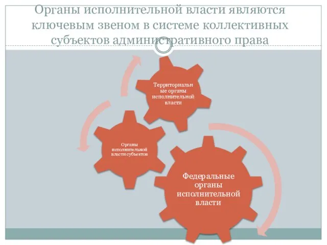 Органы исполнительной власти являются ключевым звеном в системе коллективных субъектов административного права