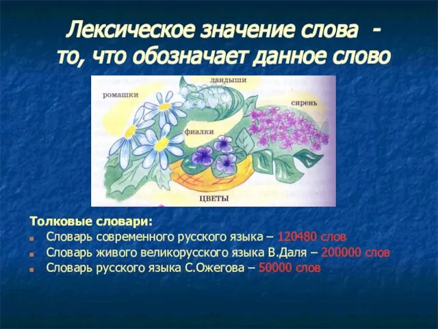 Лексическое значение слова - то, что обозначает данное слово Толковые словари: Словарь