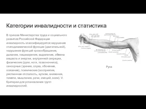 Категории инвалидности и статистика В приказе Министерства труда и социального развития Российской