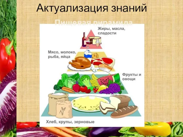 Актуализация знаний Пищевая пирамида