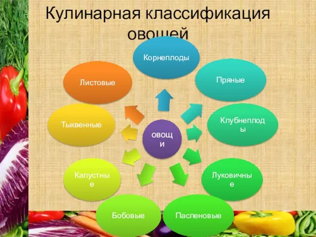 Кулинарная классификация овощей