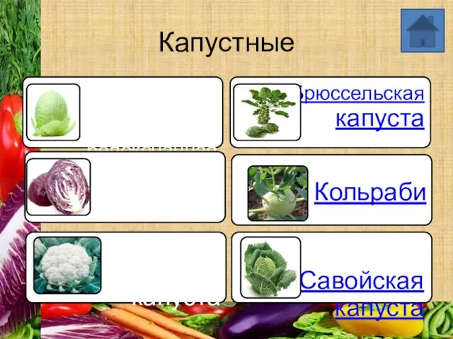 Капустные