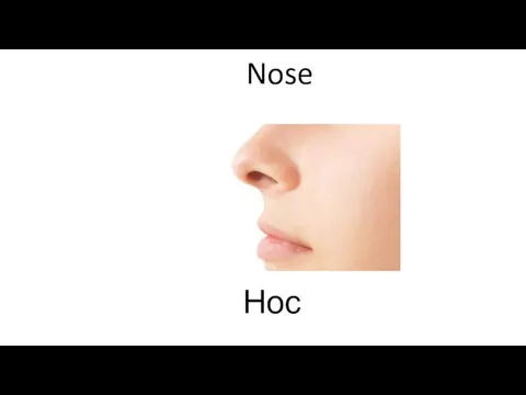 Nose Нос