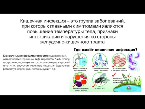 Кишечная инфекция – это группа заболеваний, при которых главными симптомами являются повышение