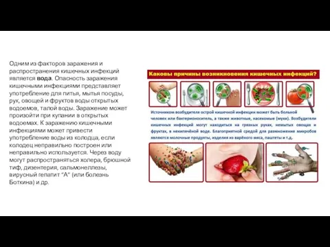 Одним из факторов заражения и распространения кишечных инфекций является вода. Опасность заражения