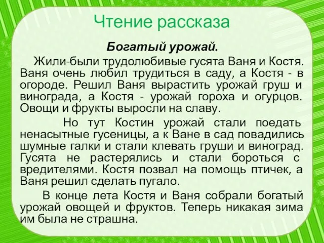 Чтение рассказа Богатый урожай. Жили-были трудолюбивые гусята Ваня и Костя. Ваня очень