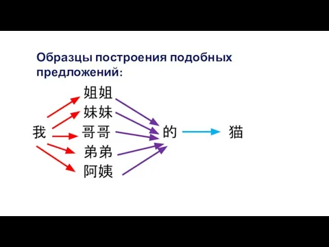 姐姐 妹妹 我 哥哥 的 猫 弟弟 阿姨 Образцы построения подобных предложений: