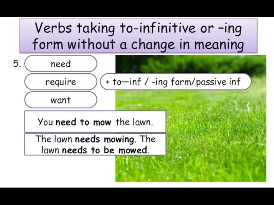 Verbs taking to-infinitive or –ing form without a change in meaning 5.