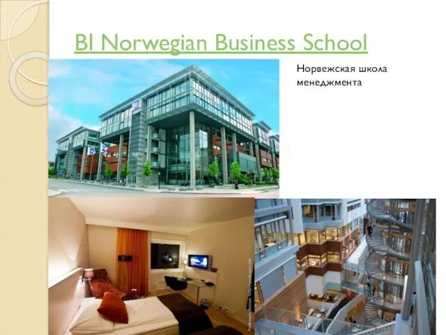 BI Norwegian Business School Норвежская школа менеджмента