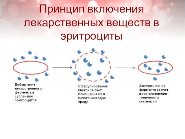 Принцип включения лекарственных веществ в эритроциты