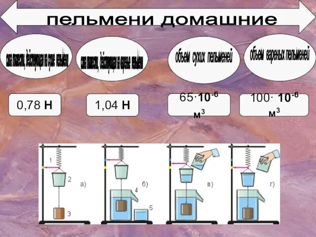 0,78 Н пельмени домашние сила тяжести, действующая на сухие пельмени сила тяжести,