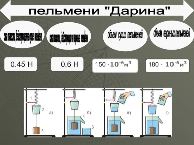 пельмени "Дарина" сила тяжести, действующая на сухие пельмени сила тяжести, действующая на