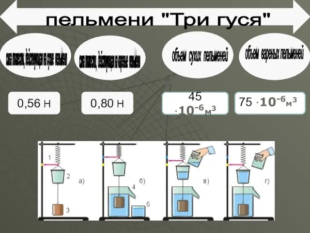 пельмени "Три гуся" сила тяжести, действующая на сухие пельмени сила тяжести, действующая