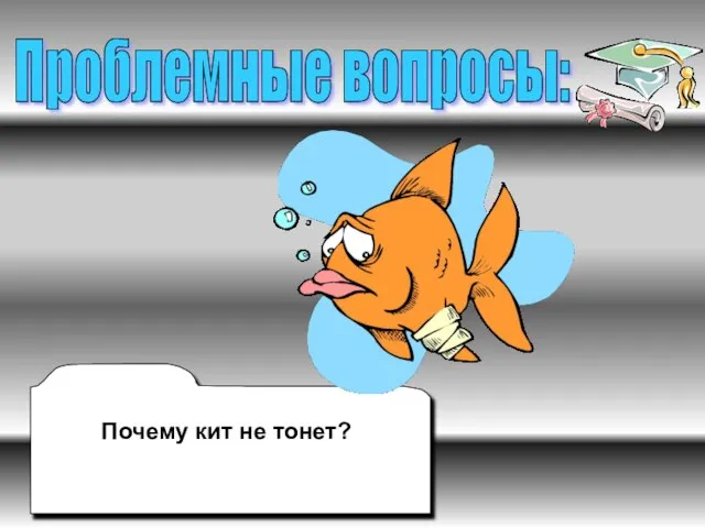 Почему кит не тонет? Проблемные вопросы: