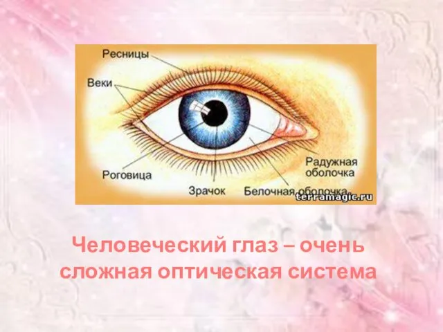 Человеческий глаз – очень сложная оптическая система