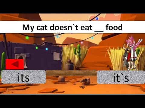 its it`s My cat doesn`t eat __ food