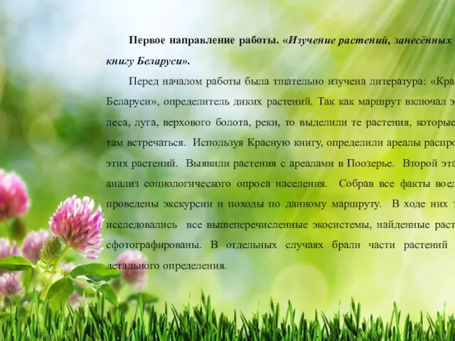 Первое направление работы. «Изучение растений, занесённых в Красную книгу Беларуси». Перед началом