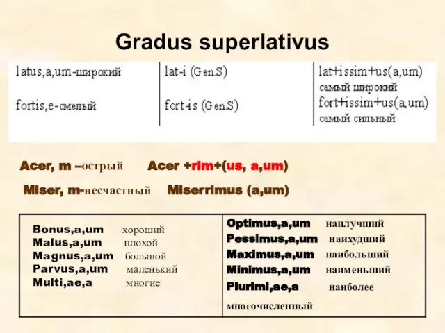 Gradus superlativus Acer, m –острый Acer +rim+(us, a,um) Miser, m-несчастный Miserrimus (a,um)
