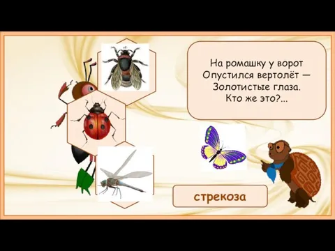 На ромашку у ворот Опустился вертолёт — Золотистые глаза. Кто же это?... стрекоза