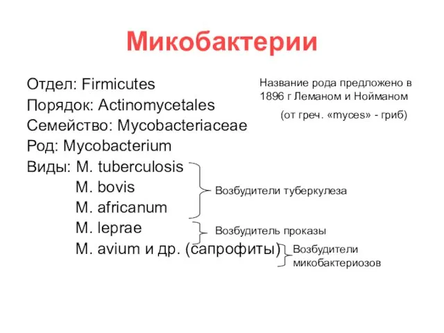 Микобактерии Отдел: Firmicutes Порядок: Actinomycetales Семейство: Mycobacteriaceae Род: Mycobacterium Виды: M. tuberculosis
