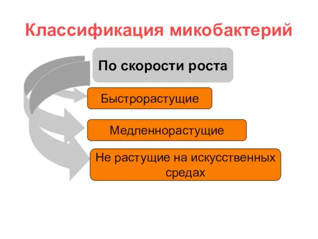 Классификация микобактерий По скорости роста Быстрорастущие Медленнорастущие Не растущие на искусственных средах