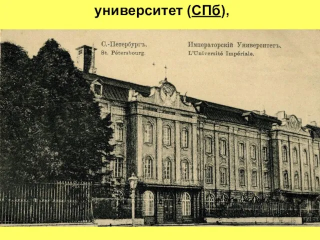 университет (СПб),