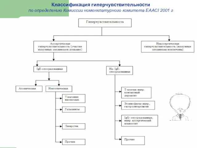 Классификация гиперчувствительности по определению Комиссии номенклатурного комитета EAACI 2001 г