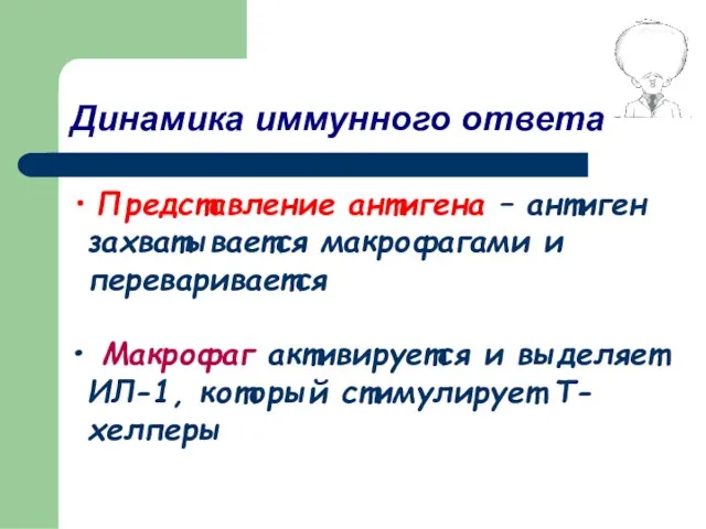 Представление антигена – антиген захватывается макрофагами и переваривается Макрофаг активируется и выделяет