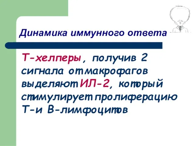 Т-хелперы, получив 2 сигнала от макрофагов выделяют ИЛ-2, который стимулирует пролиферацию Т-и В-лимфоцитов Динамика иммунного ответа